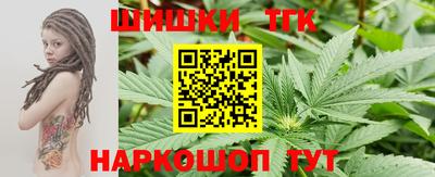 крисы Камышлов