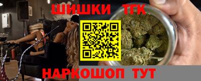 крисы Камышлов