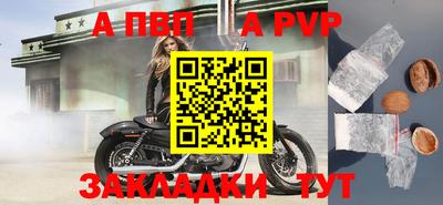 крисы Камышлов