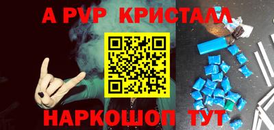 крисы Камышлов