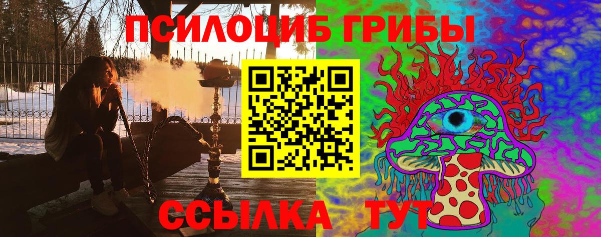 Псилоцибиновые грибы мухоморы  Галлюциногенные грибы мицелий  Урюпинск  Вход с VPN 